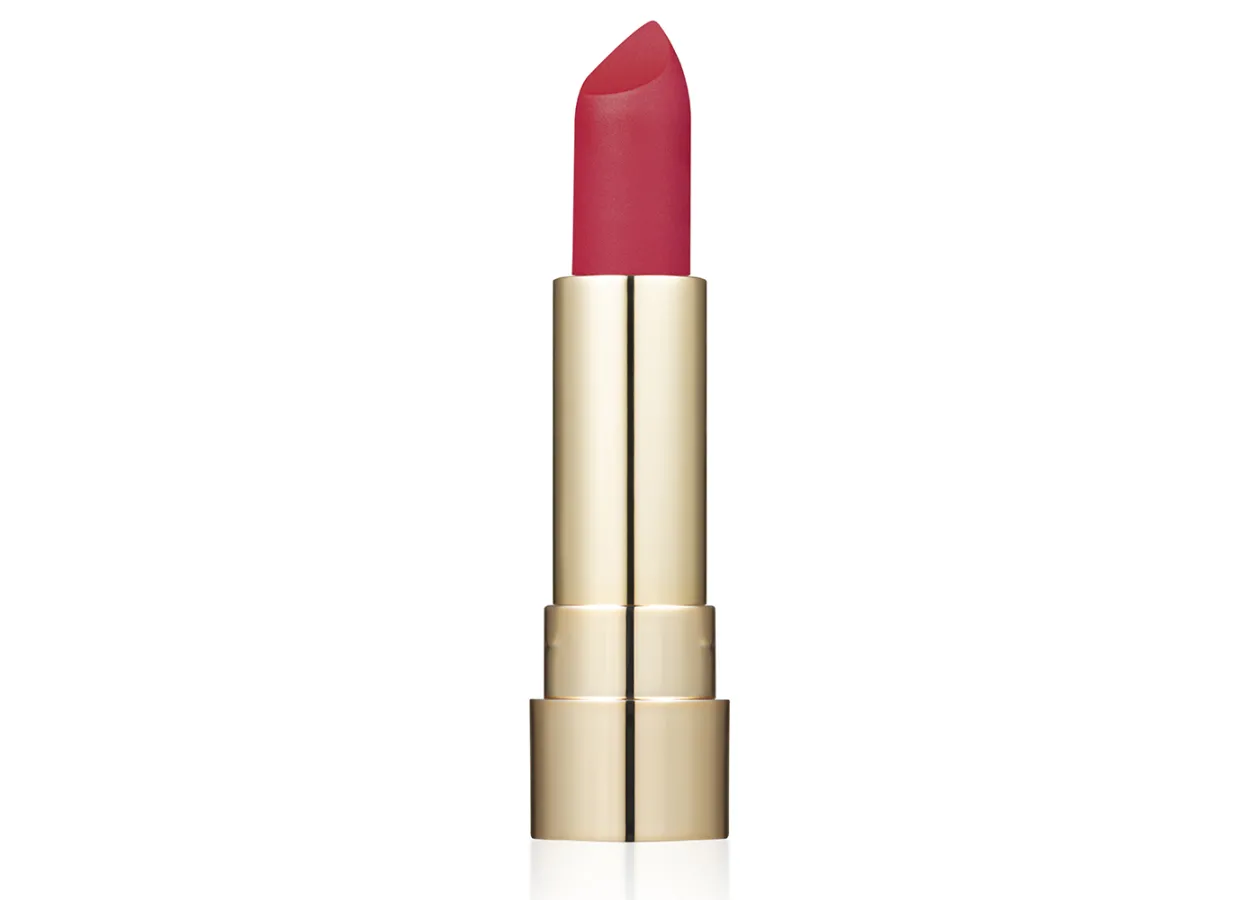 Помада для губ Topface ProHD Rich Matte 016 Rosewood (теплий вишнево-коричневий) PT159 (4 г)